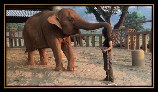 poema de  Julio Azor