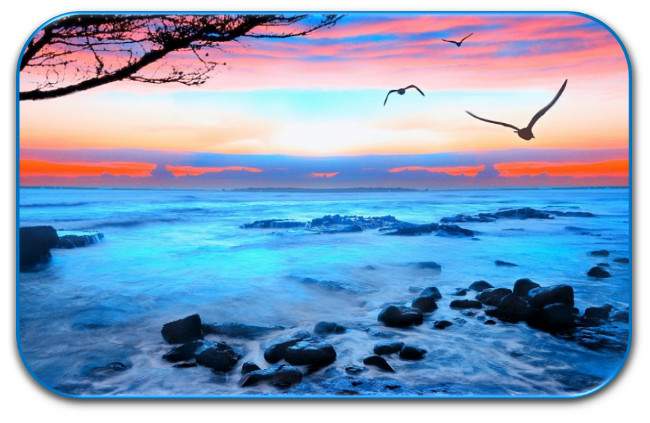 agosto, poema de M&ordf; Esther Ruiz