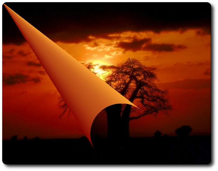 serenidad, poemas de Joan Vivancos