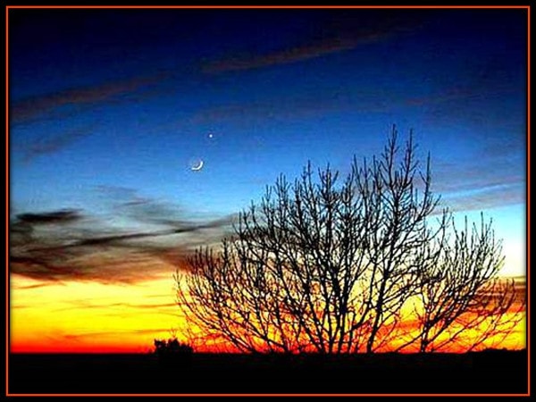 Lucero, poema de M&ordf; Esther Ruiz