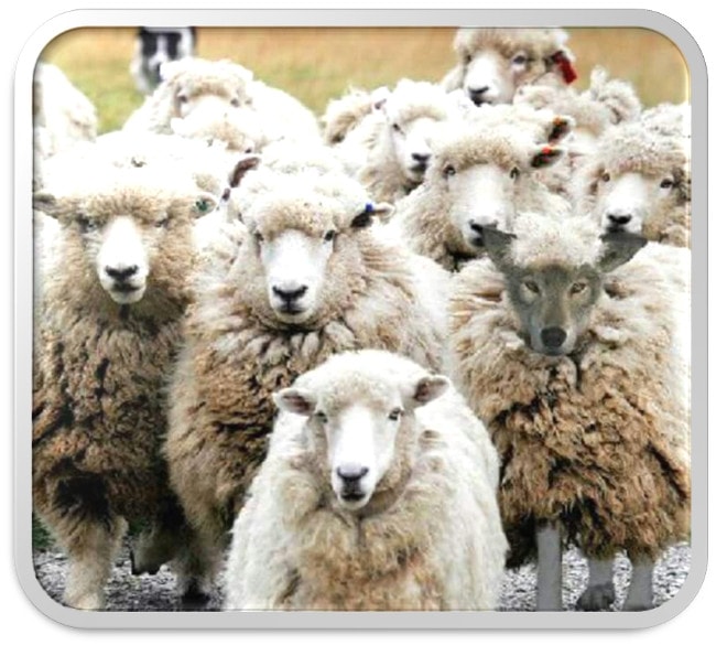 poema de M&ordf; Esther Ruiz