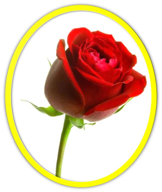 poema de M&ordf; Esther Ruiz