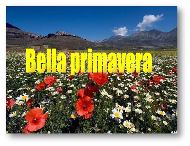 poema de M&ordf; Esther Ruiz