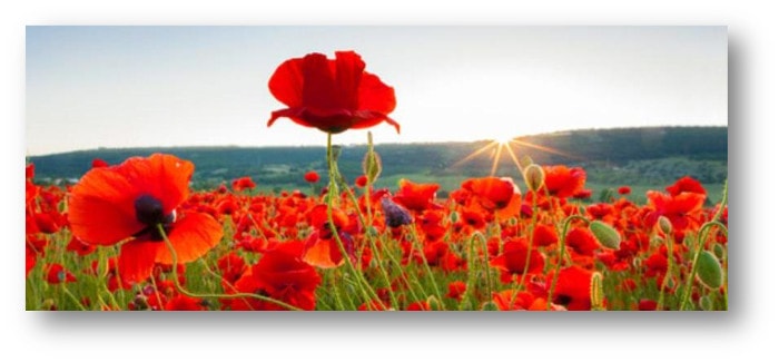 poema de M&ordf; Esther Ruiz