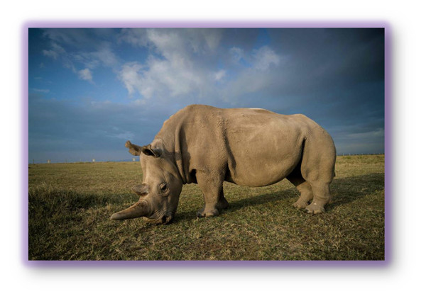 poemas de  Iosu Moracho Cort&eacute;s 